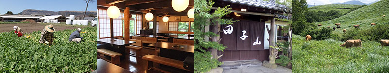 田子山イメージ