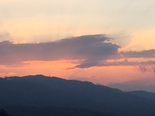 IMG_8008.JPG