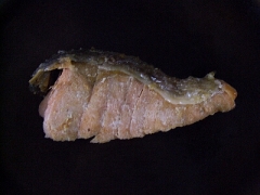 残り物のサケの塩焼き
