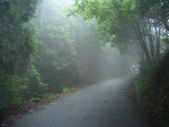 雲の中の五井山5