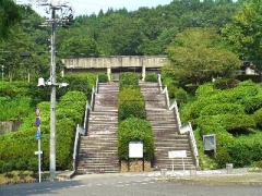 瑞浪化石博物館1