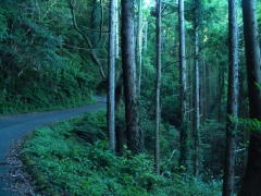 午後の五井山登山1