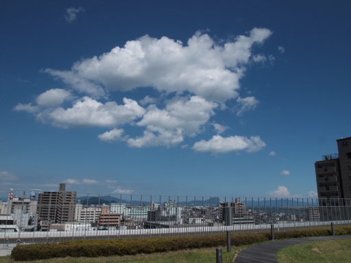 P8163512.JPG