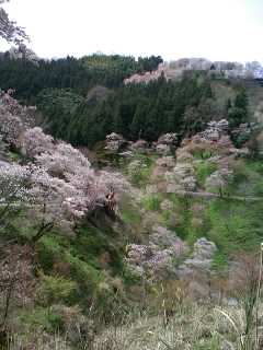 080412_1119~02.JPG