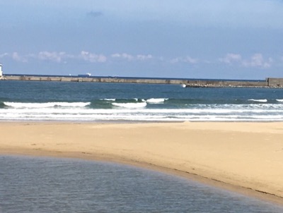 20180922_2318337.jpg