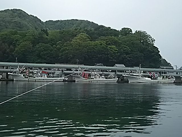 DSC_0337.JPG