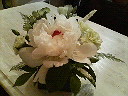 20100506223353.jpg