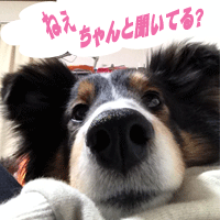 ねぇちゃんと聞いてる?
