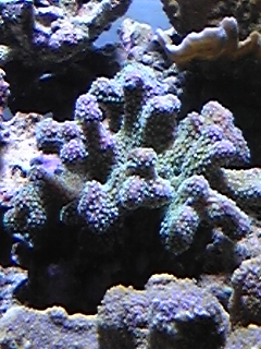 080505_220107.jpg