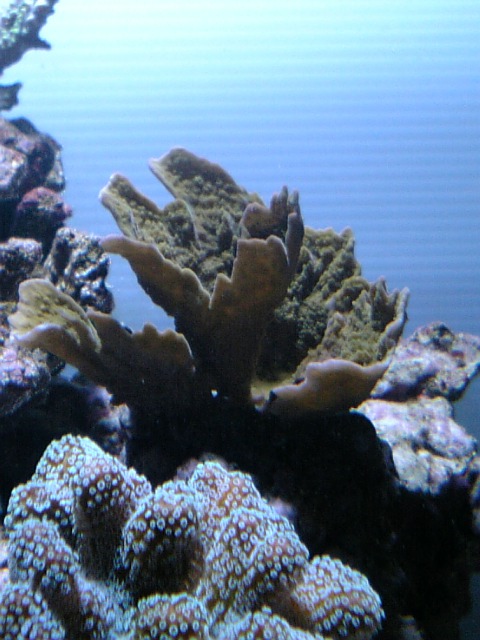 080526_222848.jpg