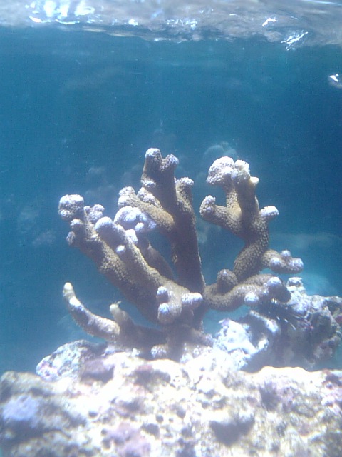 DVC00017.JPG