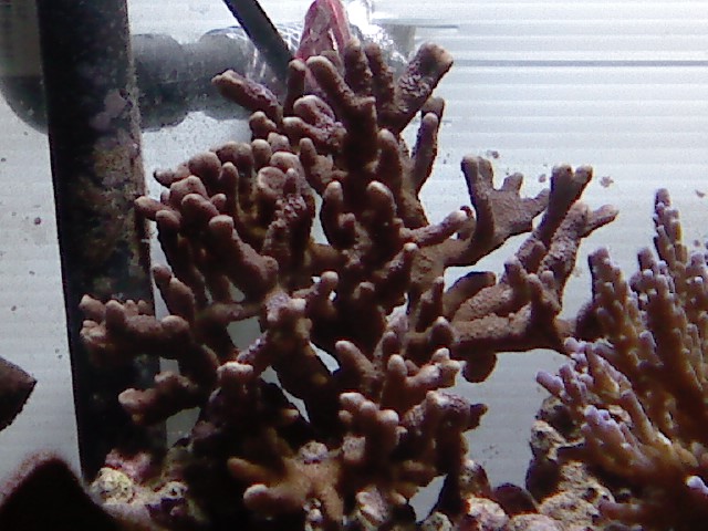 P2008_0610_213345.JPG
