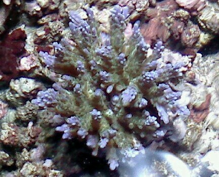 Image0003.JPG