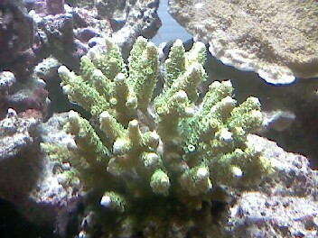 Image0004.JPG