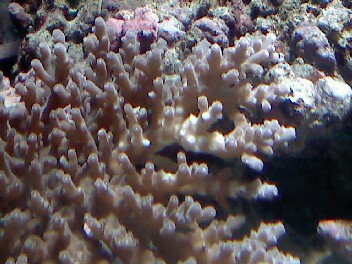 P2008_0715_201622.JPG