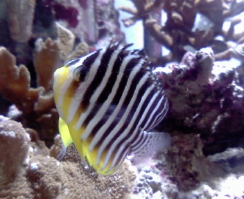 M2008_0810_1836_02.JPG