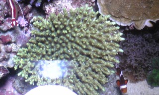 080910_205349_ed.jpg