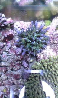 080910_205233_ed.jpg