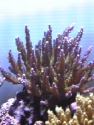 080910_222242_ed.jpg