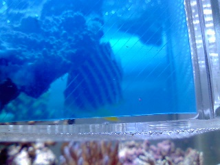 DVC00227.jpg