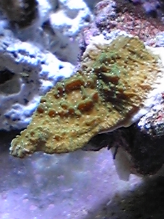 DVC00025.jpg