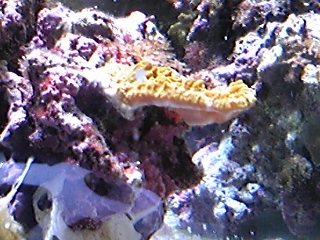 DVC00026_ed.jpg