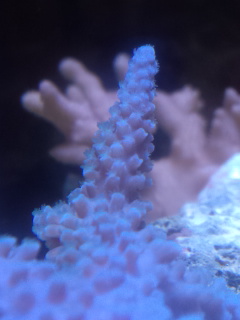 100627_180515.jpg