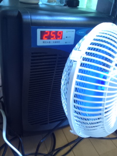 100706_205627.jpg