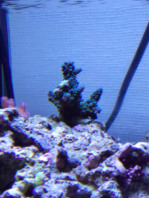 DCF00214.jpg