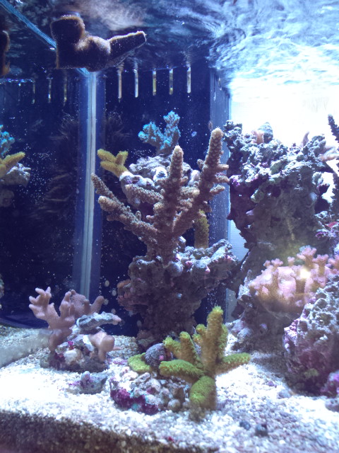 DCF00394.jpg