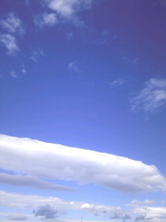 SH3B00280001.jpg