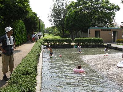 19.JPG