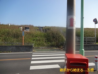 19.jpg