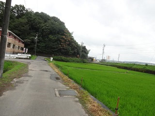 002.jpg