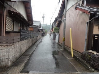 16.jpg