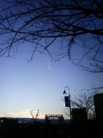 お空。