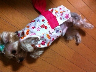 ゆきゆき。