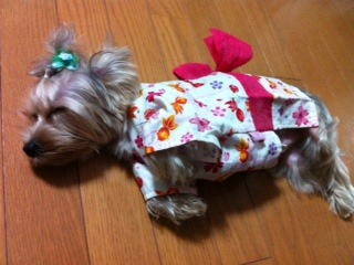 ねとる。