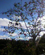 2010110112380000.jpg