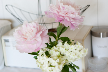 CRW_6386-1.jpg