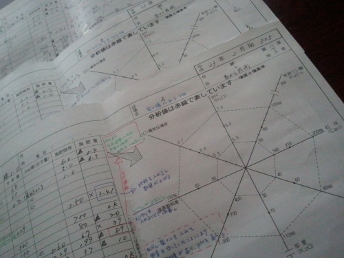 2011-02-13 11.01.14.jpg