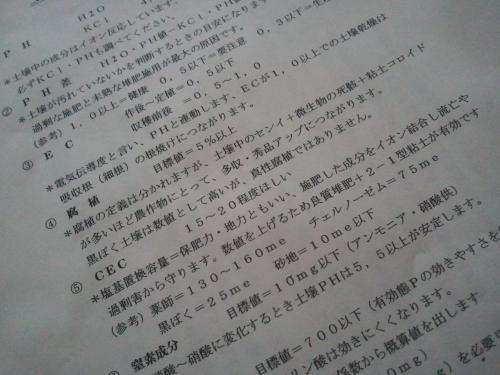 2011-02-13 11.23.44.jpg