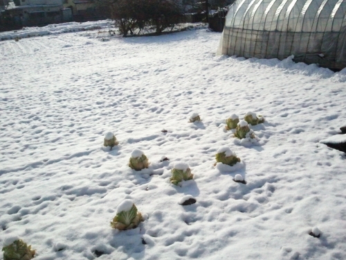 2011-02-15 08.55.59.jpg