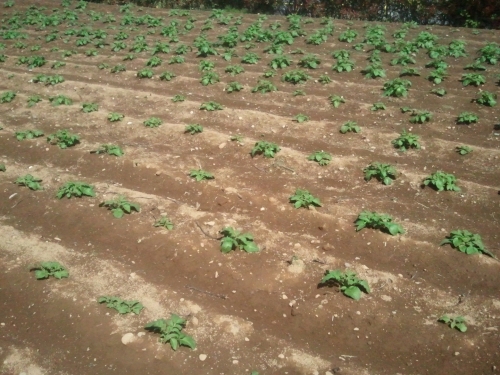 2011-04-24 13.49.59.jpg