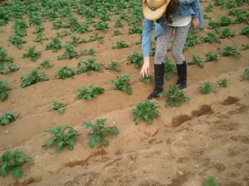 2011-05-02 17.21.13.jpg