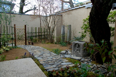 DSC_0602.JPG