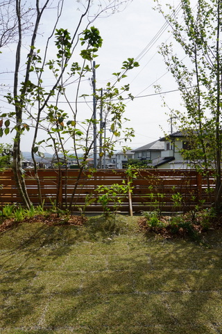 DSC02020.JPG