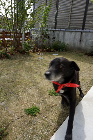 DSC02038.JPG