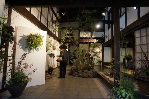 DSC03734.JPG