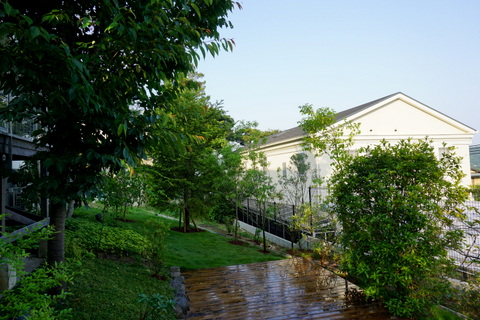 DSC03810.JPG